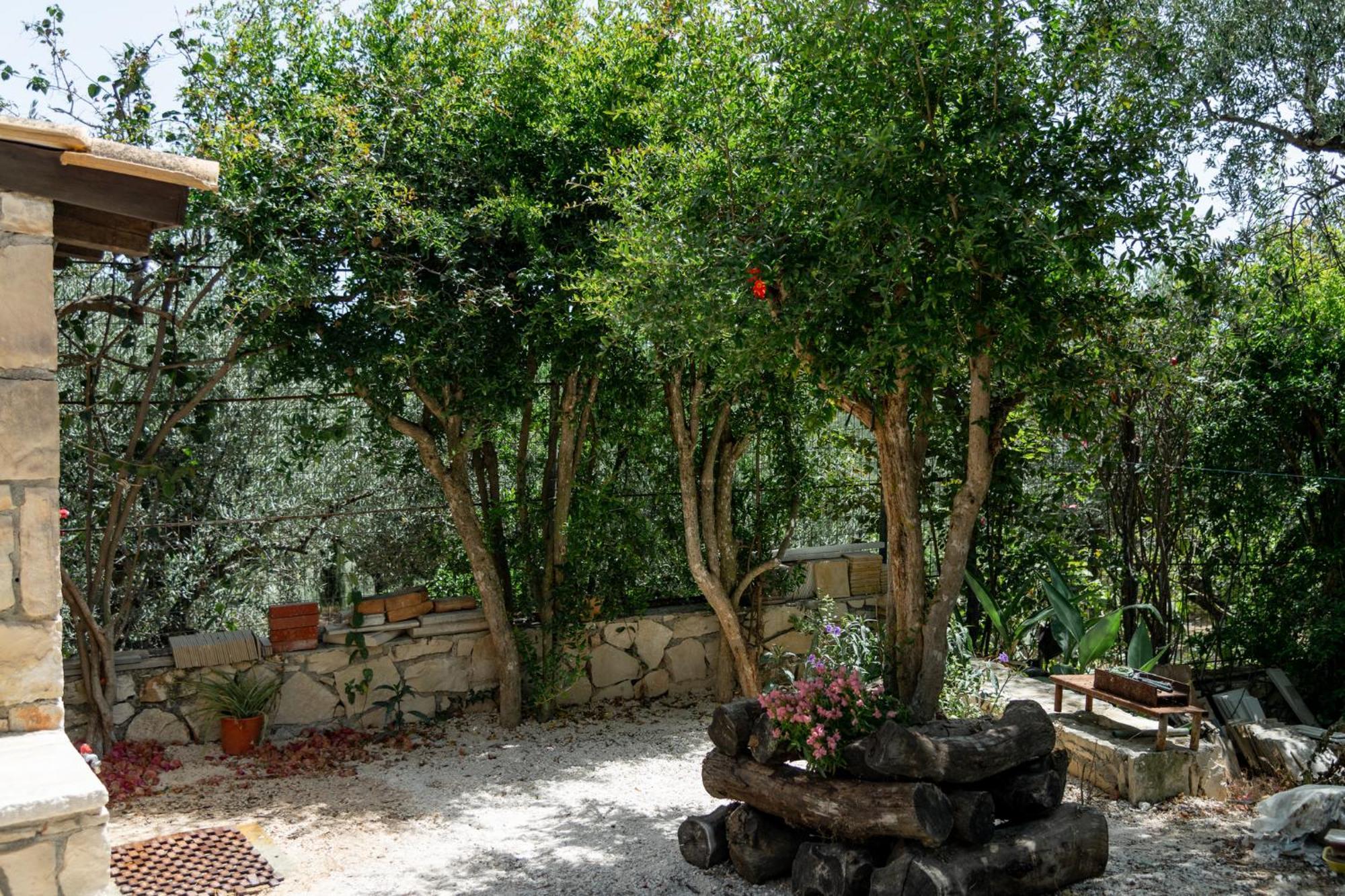 Orama Stone - Authentic Hospitality In A Historical Location, By Zantewize Apartment Zakynthos Town